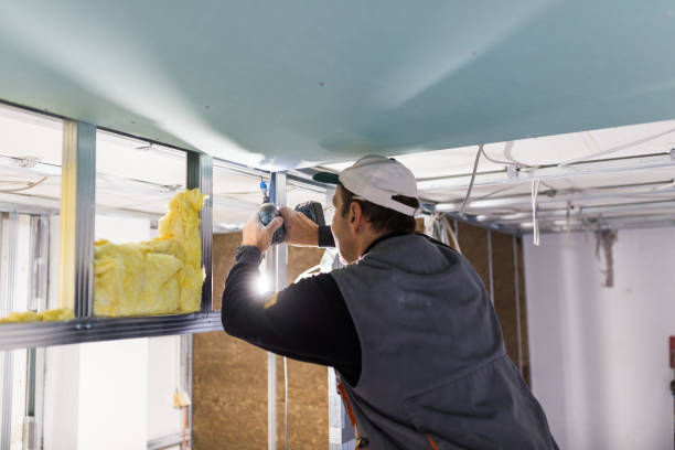 Best Cellulose Insulation  in Dunean, SC