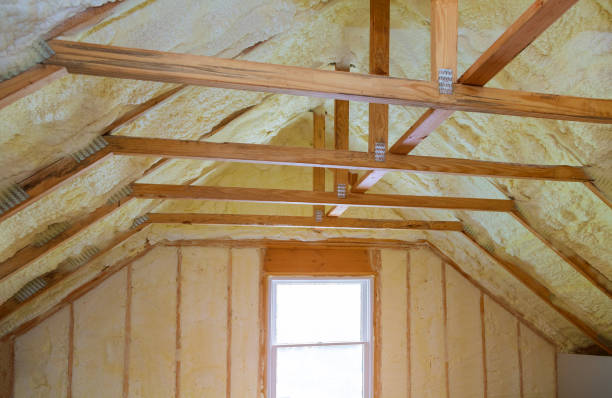 Best Attic Insulation Installation  in Dunean, SC