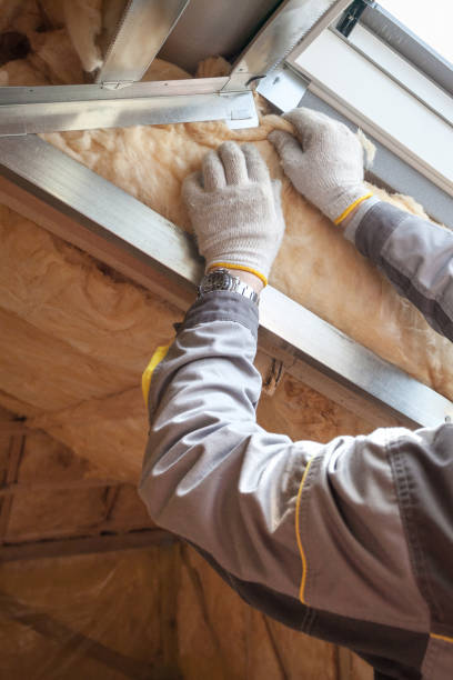 Best Blown-in Insulation  in Dunean, SC