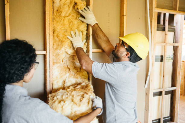 Best Spray Foam Insulation  in Dunean, SC